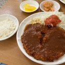 양지함박왕돈까스 | 장안동 맛집 ‘양지함박왕돈까스기사님식당’ 추천 후기 (내돈내산)