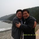 고흥봉황정 이미지