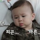 스테이가정집 네이버블로그