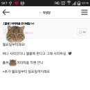 (주)모디