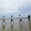 치유의 숲 이미지