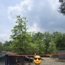 청운오토캠핑장 | 자연 속 힐링! 청운오토캠핑장 방문 후기