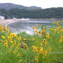 김기백 Daum카페