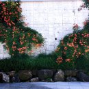 동래역_부산1호선 이미지