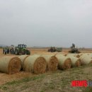 우영축산 이미지