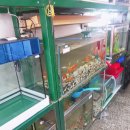 홍주수족관 이미지