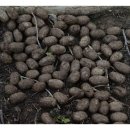 행복자원 | 고물상 행복한자원 양평 개군면 가격 후기