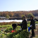 성자농장 이미지