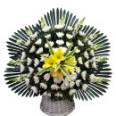 ＜訃告＞모렌도 형님이 안타깝게도 영면 하셨습니다 이미지