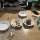 팬더리아 이미지
