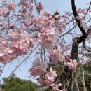 방배천로5-6 이미지