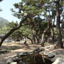 솔밭공원2 이미지