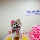 아토,사랑스러워 이미지