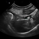 Dr. 오즈 동물병원 이미지