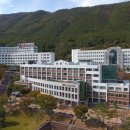 영산대학교 기술창업대학원 머니투데이