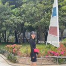 꾸안꾸 코디하기 좋은 캘빈클라인 폴로 카라 원피스 xs사이즈 후기