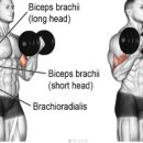 도봉방학점 이미지