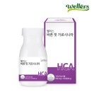 바른핏 이미지