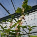 제이디피모터스 오라점 이미지