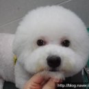 진동물병원 이미지