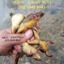 오케이무역주식회사