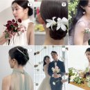 박하헤어스투디오 | [헤어변형] 스튜디오 헤어변형 “박하 디자이너” 계약 후기 - 10년차 플래너님 최애쌤(?)