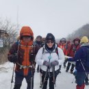 백두목장 이미지