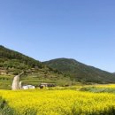 청산도 느림민박 이미지