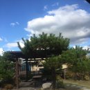 청계 여성전용 불한증막 이미지