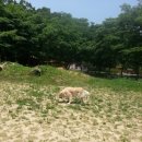 호락PC방 이미지