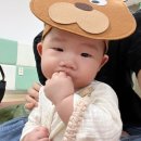 2022-주182 이미지