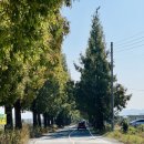 죽동마을 이미지