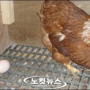 박명종 농장 이미지