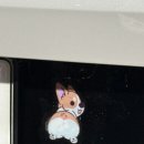 가평 손세차장 이미지