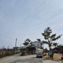 다감 | 창원 빗돌배기마을 다감농원 딸기체험 후기