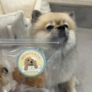 재화애견수제간식 | 강아지수제간식 추천 재화애견수제간식