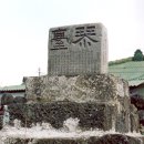 조천읍 조천리 금대유허비(琴臺遺墟碑) 이미지