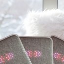 M메디칼 이미지