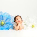 스튜디오 양귀비 이미지