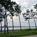 인천송도국제캠핑장 이미지