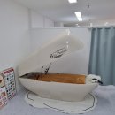 에스라인뷰티샵 - 군산시 | 에스라인뷰티샵