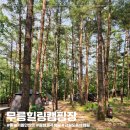 무릉계곡힐링캠프장 | 강원도 동해 가볼만한곳 무릉계곡 사이트 추천 무릉힐링캠핑장