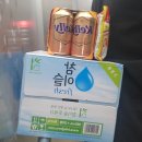 소&돼지야놀아보세