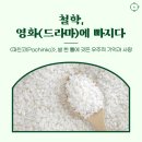 영화 속 동·서양 역사 이야기 이미지