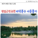 송정농구장 | 광주 광산구 쌍암공원 산책 바닥분수 이용불가