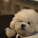 몽린이집 이미지