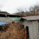 신풍리-2 이미지