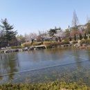 콜핑전남구례