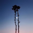 수도119군포점 이미지