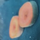 의인농장 이미지